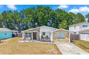 4928 STEEL DUST LANE, LUTZ, FL 33559 - MLS#MFRTB8504232