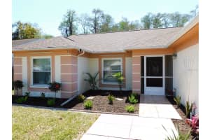 3128 JODI LANE, PALM HARBOR, FL 34684 - MLS#MFRTB8504256