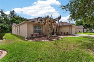 6006 Shearwater Ln, LITHIA