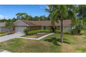 3147 E Dorchester Dr, PALM HARBOR 3147 E Dorchester Dr, PALM HARBOR