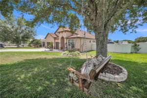 12309 LOOPBACK DRIVE, SAN ANTONIO, FL 33576 - MLS#MFRTB8504303