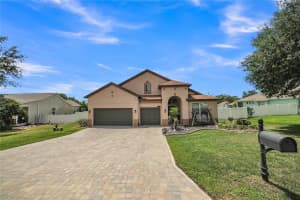 12309 LOOPBACK DRIVE, SAN ANTONIO, FL 33576 - MLS#MFRTB8504303