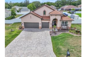 12309 LOOPBACK DRIVE, SAN ANTONIO, FL 33576 - MLS#MFRTB8504303