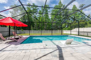12846 TIKAL WAY, TRINITY, FL 34655 - MLS#MFRTB8504314