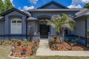 2624 CRESTFIELD DRIVE, VALRICO, FL 33596 - MLS#MFRTB8504323