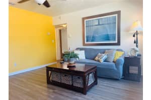 551 ORANGEWOOD DRIVE, DUNEDIN, FL 34698 - MLS#MFRTB8504360