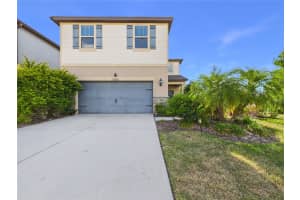 11303 Green Harvest Dr, RIVERVIEW