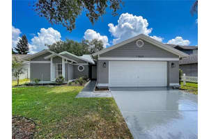 13509 Fawn Ridge Blvd, TAMPA 13509 Fawn Ridge Blvd, TAMPA