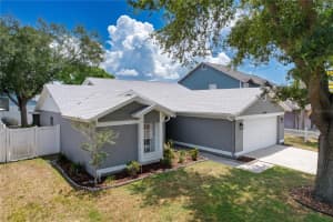 13509 FAWN RIDGE BOULEVARD, TAMPA, FL 33626 - MLS#MFRTB8504419