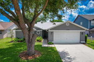 13509 FAWN RIDGE BOULEVARD, TAMPA, FL 33626 - MLS#MFRTB8504419
