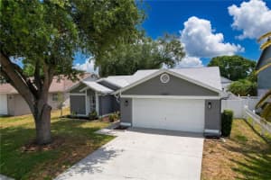 13509 FAWN RIDGE BOULEVARD, TAMPA, FL 33626 - MLS#MFRTB8504419