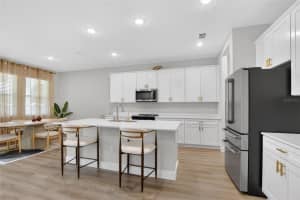 10009 SURREY ROSE DR, SAN ANTONIO, FL 33576 - MLS#MFRTB8504425