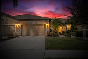 329 SENECA FALLS DRIVE, APOLLO BEACH, FL 33572 - MLS#MFRTB8504434