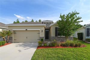1052 Manzanar Pl, WESLEY CHAPEL 1052 Manzanar Pl, WESLEY CHAPEL