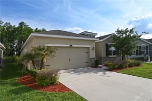 1052 MANZANAR PLACE, WESLEY CHAPEL, FL 33543 - MLS#MFRTB8504460