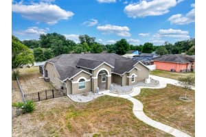 12229 LANGSHAW DRIVE, THONOTOSASSA, FL 33592 - MLS#MFRTB8504476
