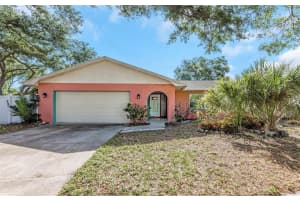 2913 Fairfield Ct, DUNEDIN 2913 Fairfield Ct, DUNEDIN