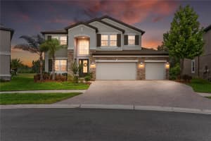 19361 EAGLE CREEK LANE, TAMPA, FL 33647 - MLS#MFRTB8504520
