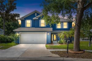 11114 Goldenrod Fern Dr, RIVERVIEW