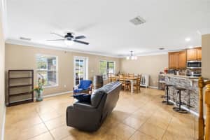 11114 GOLDENROD FERN DRIVE, RIVERVIEW, FL 33569 - MLS#MFRTB8504523