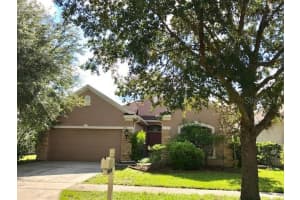 17911 Timber View St, TAMPA