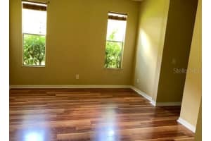 17911 TIMBER VIEW STREET, TAMPA, FL 33647 - MLS#MFRTB8504531