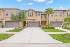 10230 NEWEL VALLEY LOOP, RIVERVIEW, FL 33569 - MLS#MFRTB8504535