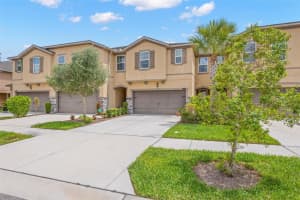 10230 NEWEL VALLEY LOOP, RIVERVIEW, FL 33569 - MLS#MFRTB8504535