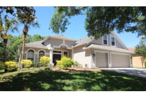 14743 HERONGLEN DRIVE, LITHIA, FL 33547 - MLS#MFRTB8504555