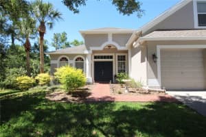 14743 HERONGLEN DRIVE, LITHIA, FL 33547 - MLS#MFRTB8504555