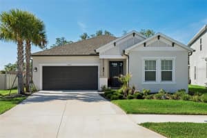 10561 Tranquil Meadow Loop, RIVERVIEW