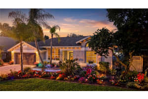 2009 RIVER PARK COURT, VALRICO, FL 33596 - MLS#MFRTB8504642