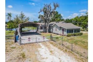17520 BOY SCOUT ROAD, ODESSA, FL 33556 - MLS#MFRTB8504678