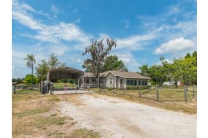 17520 BOY SCOUT ROAD, ODESSA, FL 33556 - MLS#MFRTB8504678