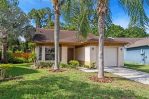 8601 Twin Farms Pl, TAMPA