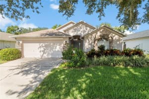 7105 BUCKS FORD DRIVE, RIVERVIEW, FL 33578 - MLS#MFRTB8504682