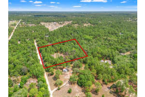 9031 MANILA TERRACE, DUNNELLON, FL 34433 - MLS#MFRTB8504700