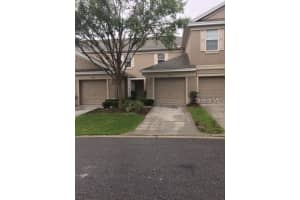 4134 BISMARCK PALM DRIVE, TAMPA, FL 33610 - MLS#MFRTB8504729