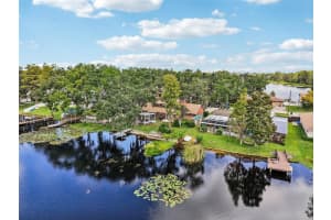 19254 BLOUNT ROAD, LUTZ, FL 33558 - MLS#MFRTB8504730