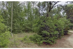 10013 HOLYOAK TERRACE, DUNNELLON, FL 34433 - MLS#MFRTB8504763