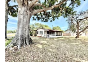 10862 VILLAGE GREEN AVENUE, SEMINOLE, FL 33772 - MLS#MFRTB8504772