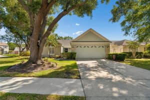 9702 LITTLE POND WAY, TAMPA, FL 33647 - MLS#MFRTB8504780