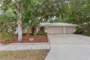 50 KELLEYS TRAIL, OLDSMAR, FL 34677 - MLS#MFRTB8504781