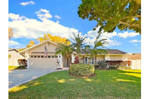 308 HAMMOCK DRIVE, PALM HARBOR, FL 34683 - MLS#MFRTB8504795
