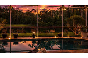 16026 SHINNECOCK DRIVE, ODESSA, FL 33556 - MLS#MFRTB8504839