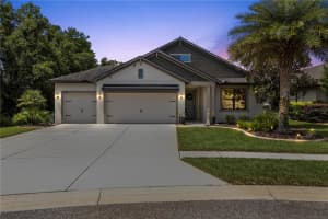 8538 MAY PORT COURT, LAND O LAKES, FL 34638 - MLS#MFRTB8504846
