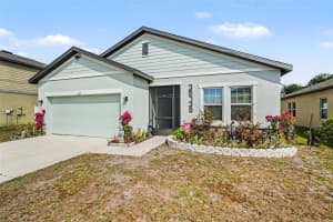 35739 BUTTONWEED TRAIL, ZEPHYRHILLS, FL 33541 - MLS#MFRTB8504847