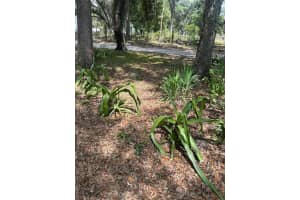9068 12TH DRIVE, WEBSTER, FL 33597 - MLS#MFRTB8504851