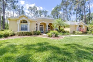 313 PINE BLUFF DRIVE, LUTZ, FL 33549 - MLS#MFRTB8504865