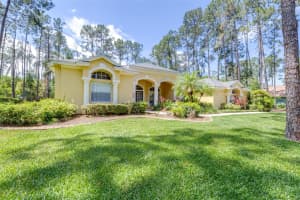 313 PINE BLUFF DRIVE, LUTZ, FL 33549 - MLS#MFRTB8504865